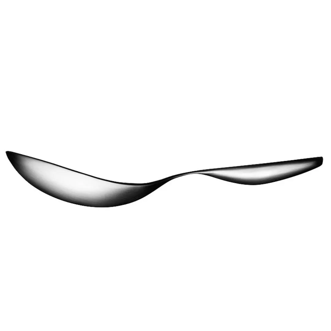 citterio_serving_spoon_la_1.webp Iittala Citterio Serving Spoon Large^ Serving | Cutlery