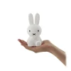 Mr Maria Miffy Bundle of Light^Kids Other | Toys