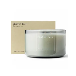 Milligram Scented 3 Wick Candle / Study of Trees^ Candles / Candleholders