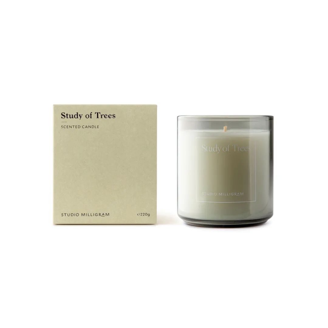 scented_candle__study_of__0.webp Milligram Scented Candle / Study of Trees^ Mothers Day | Candles / Candleholders