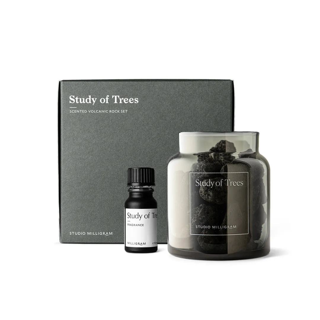scented_volcanic_rock_set_0.webp Milligram Scented Volcanic Rock Set / Study of Trees^ Gifts Under $100 | Gifts For Her
