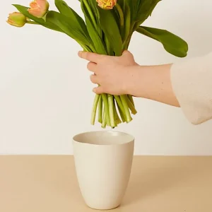 Mud Australia Utensil Vase Bottle Green^ Vases | Occasional & Decorator