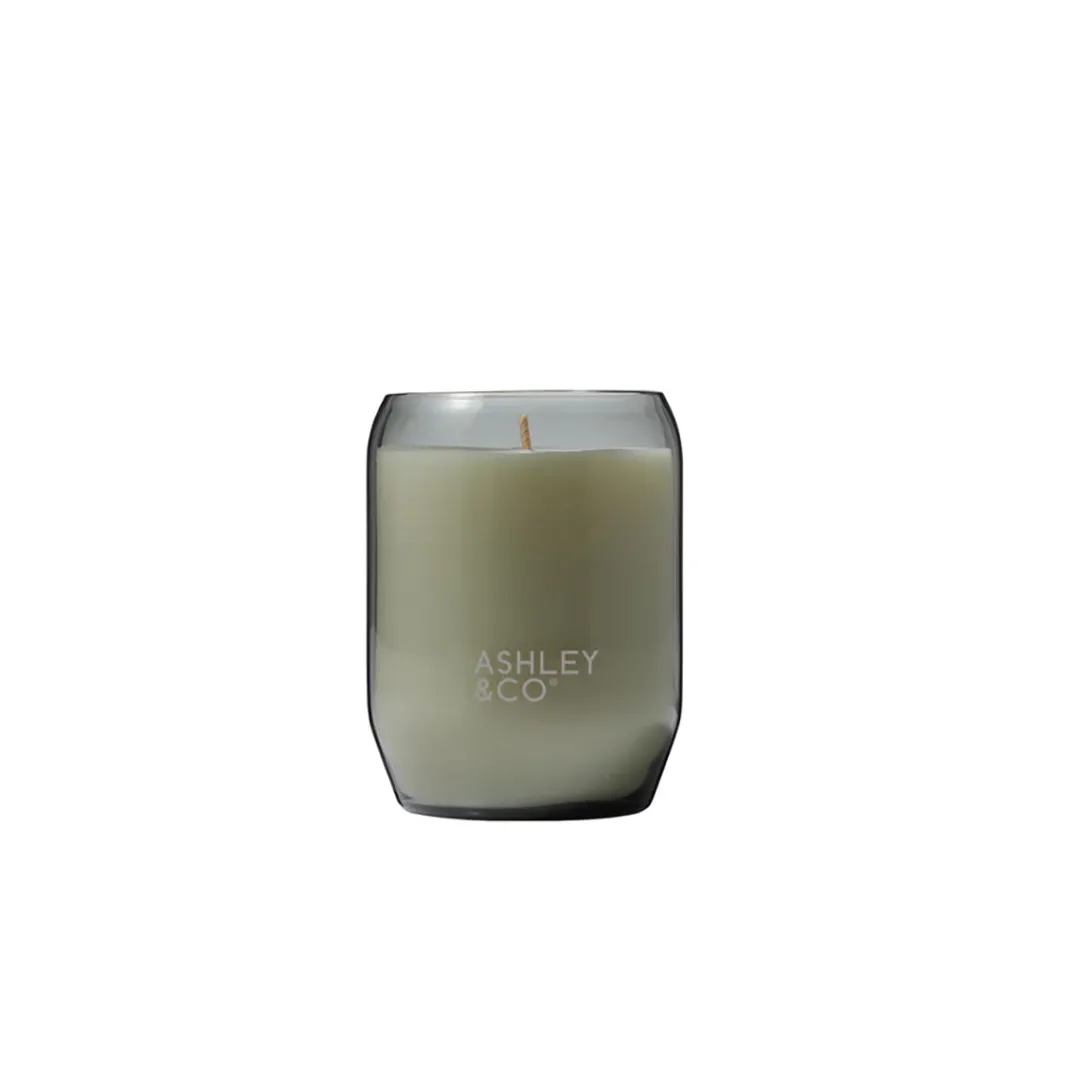 waxed_perfume_candle_tui__0.webp Ashley and Co Waxed Perfume Candle Tui and Kahili^ Candles / Candleholders